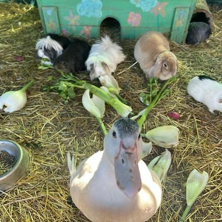 Jouques Sejour A La Fermeヴィラ エクステリア 写真