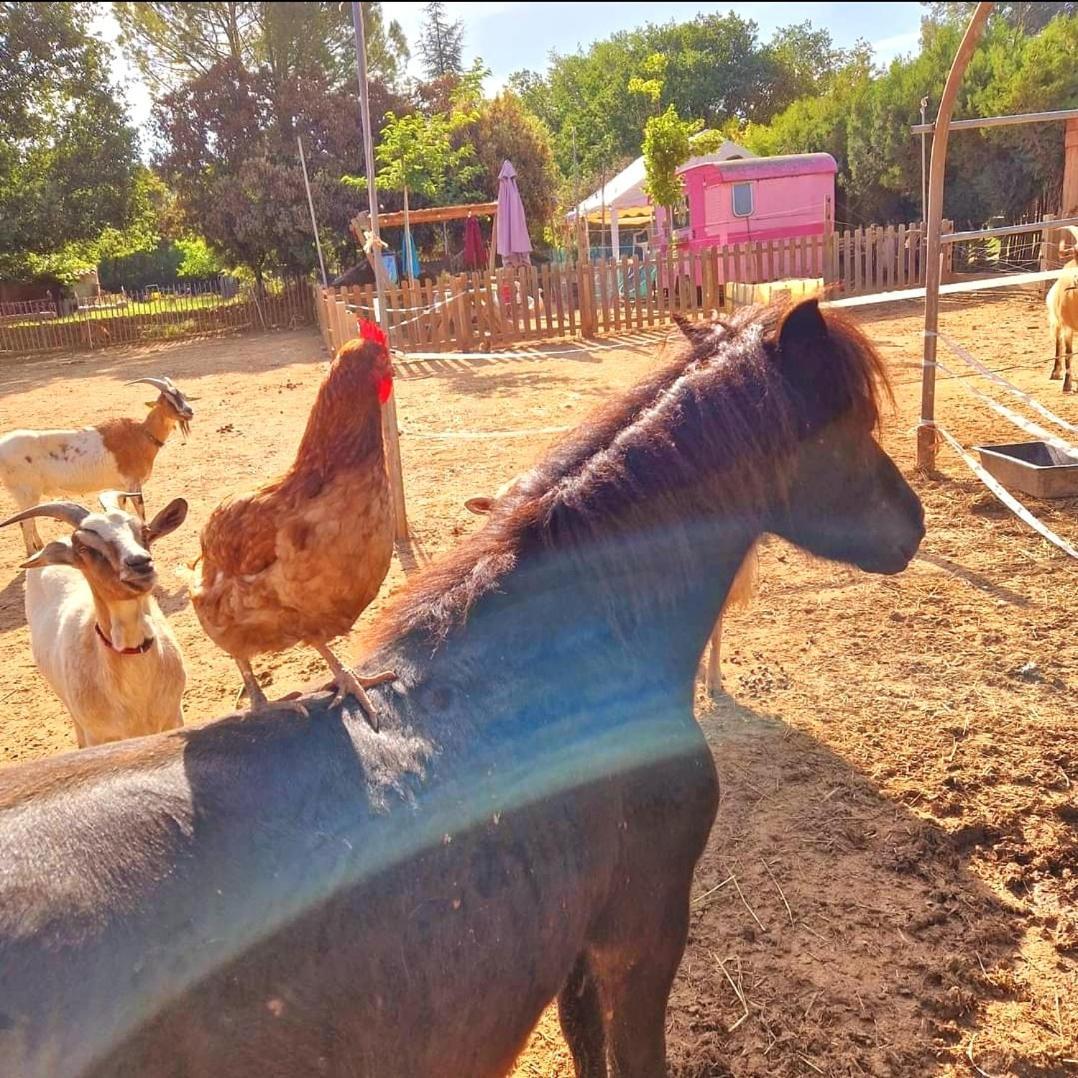 Jouques Sejour A La Fermeヴィラ エクステリア 写真